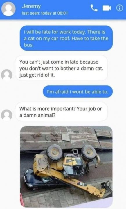 Name:  cat_on_car.jpg
Views: 312
Size:  48.9 KB